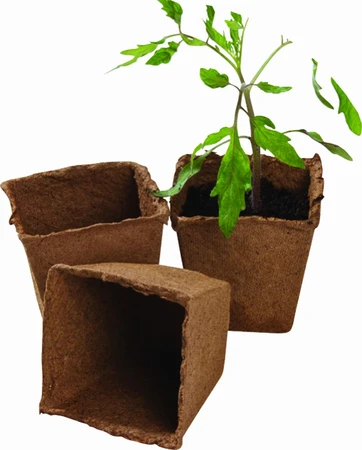 Square Fibre Pots 12Pk - image 1