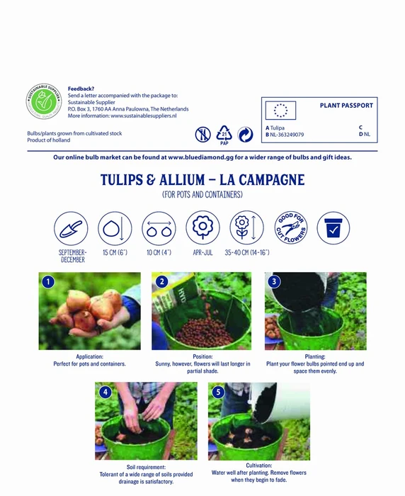 La Campagne Capper - image 3
