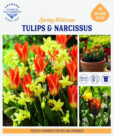 Story Telling Spring Welcome