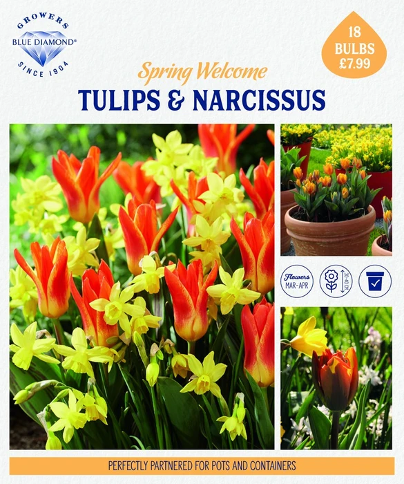 Story Telling Spring Welcome