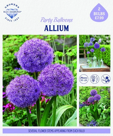 Story Telling Allium Party Baloon