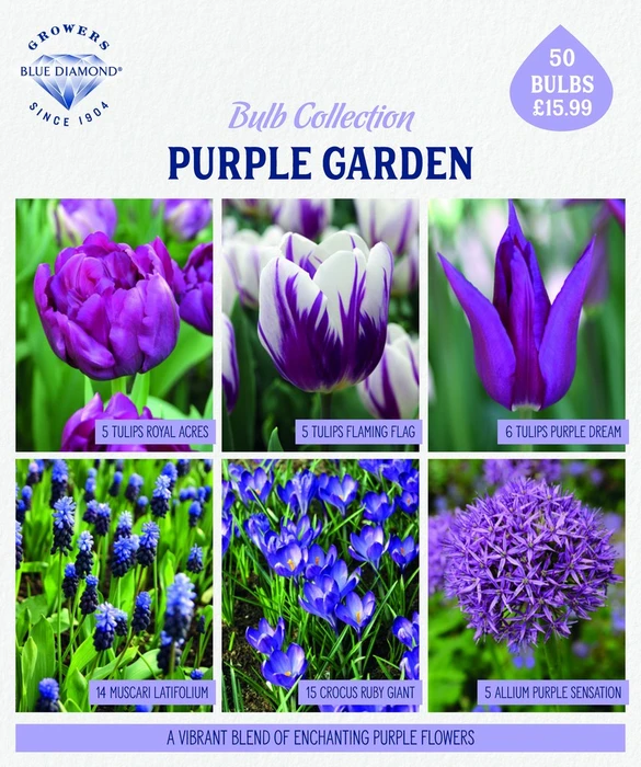 Bulb Planting Mix Purple Garden