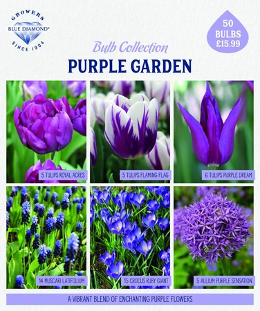 Bulb Planting Mix Purple Garden