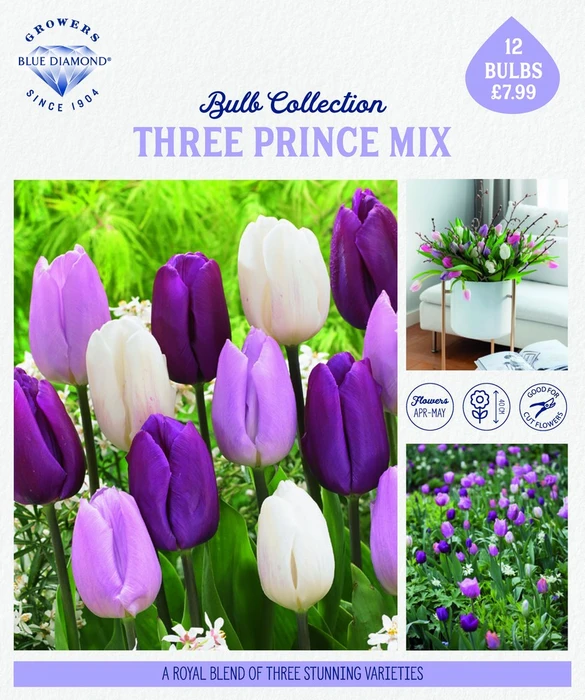 Storytelling Three Princes Mix