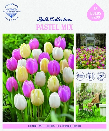 Storytelling Pastel Mix