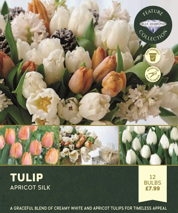 Storytelling Tulip Apricot Silk