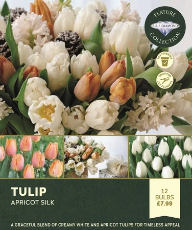 Storytelling Tulip Apricot Silk