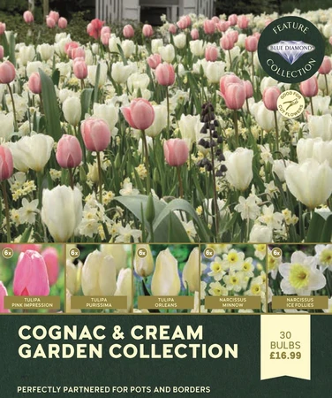 Cognac and Cream Garden Collection