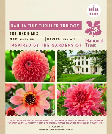 Dahlia The Thriller Trilogy - image 2