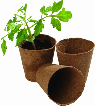Round Fibre Pots 12Pk
