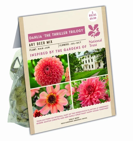 Dahlia The Thriller Trilogy - image 1