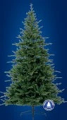 T51 Haldon Deluxe 5Ft Xmas Tree - image 2