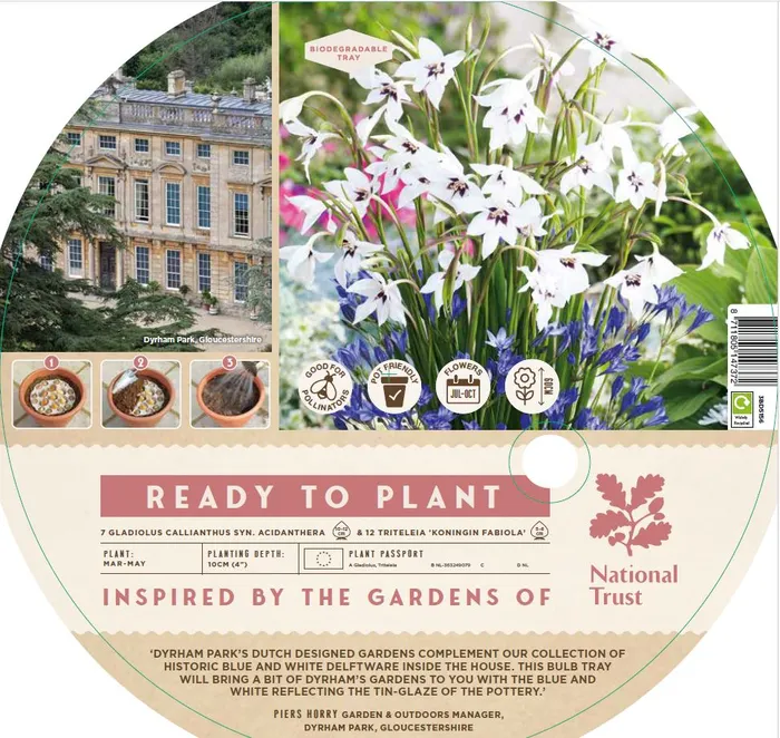 Ready to Plant Dyrham Park - image 2