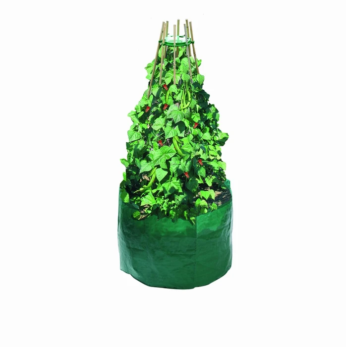 Bean And Pea Bag+Free Bean And Pea Ring - image 1