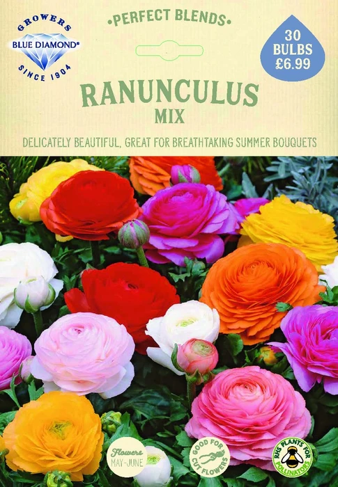 Ranunculus Mix - image 2