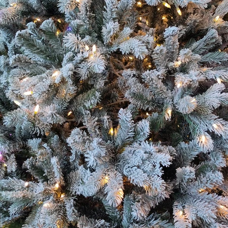 Snowy Delamere 6ft Pre-Lit Tree - image 2