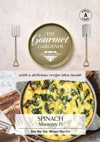 SPINACH Monterey F1
