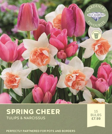 Spring Cheer