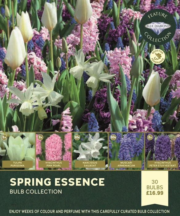 Spring Essence Collection