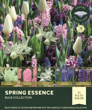 Spring Essence Collection