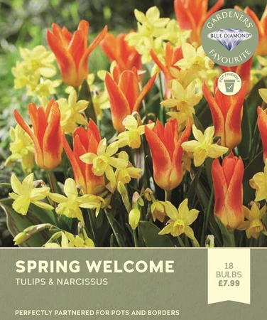 Spring Welcome