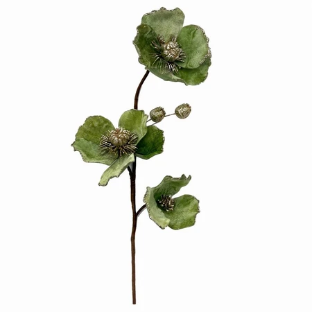 Sage Poppy Flower Stem