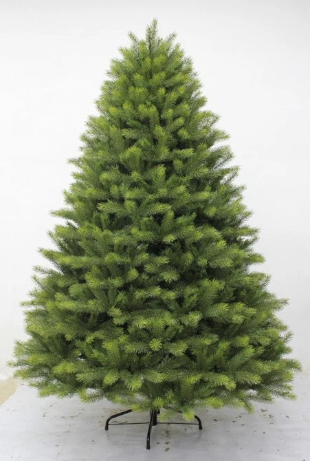 T77 Grand Kensington Fir 210Cm 7ft - image 1