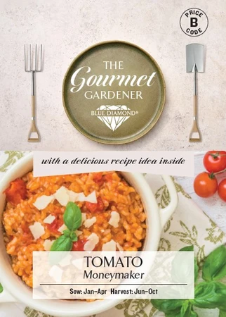 TOMATO Moneymaker