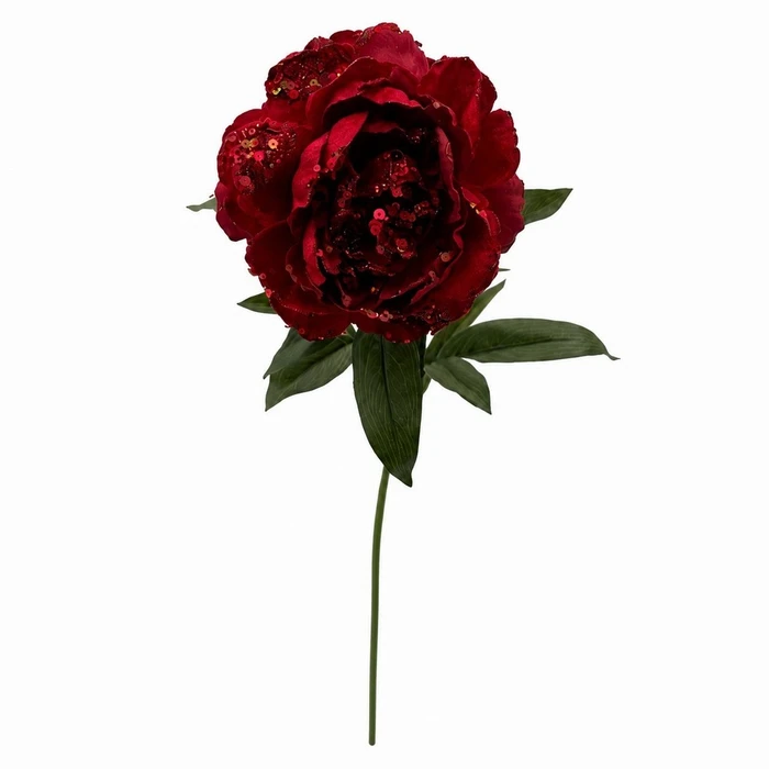 Red Peony Stem