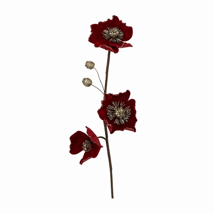 Red Poppy Stem