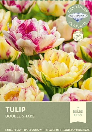 Tulip Double Shake