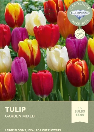 Tulip Garden Mixed
