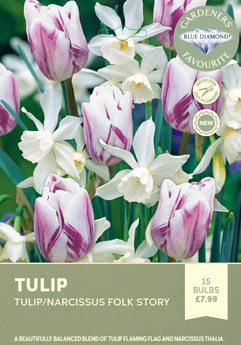 Tulip & Narcissus Folk Story