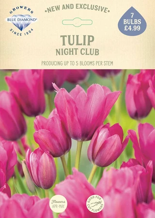 Tulip Night Club NE - image 2