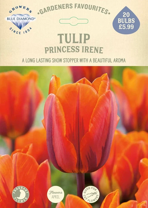 Tulip Princess Irene GF - image 2