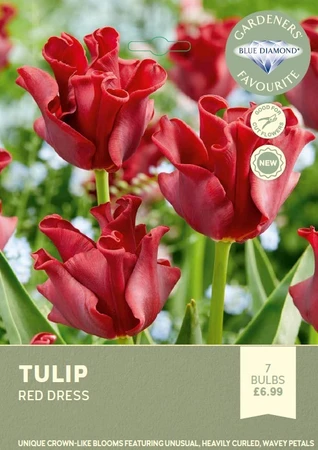 Tulip Red Dress