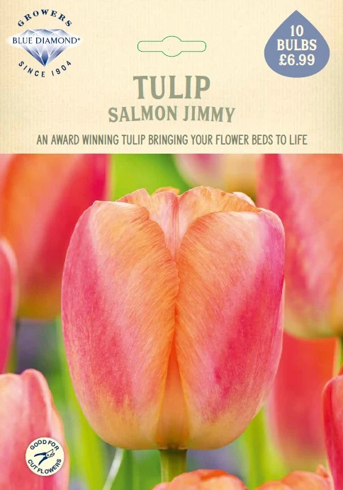 Tulip Salmon Jimmy NE