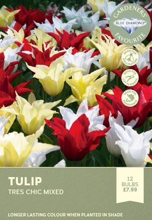Tulip Tres Chic Mixed