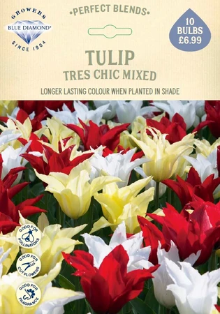 Tulip Tres Chic Mixed PBR