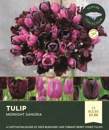 Tulip Velvet Merlot