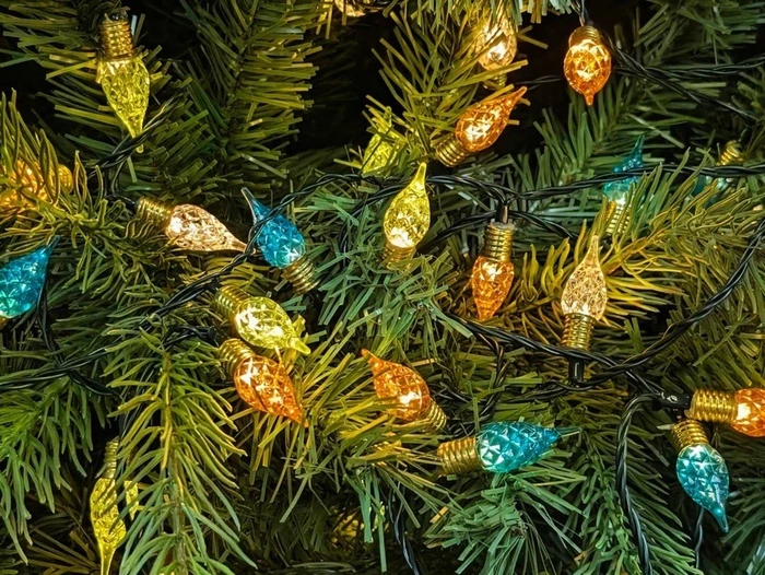 180 Emerald Mix Vintage String Lights