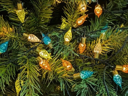 180 Emerald Mix Vintage String Lights