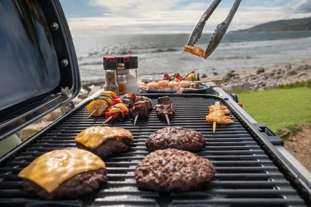 Weber Traveler LP Black 2025 - image 4