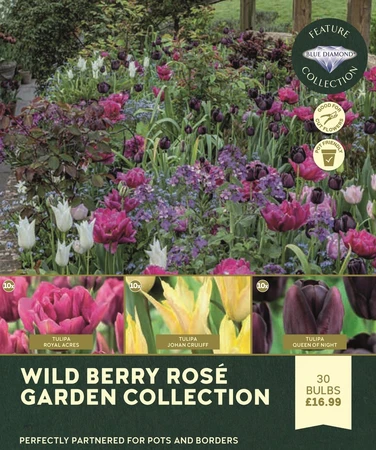 Wild Berry Rose Garden Collection