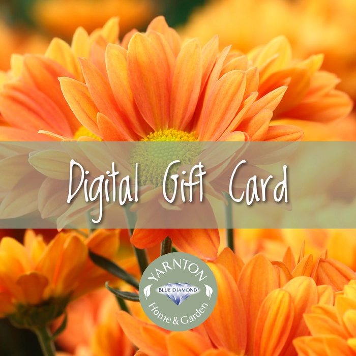 Yarnton Digital Gift Card