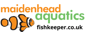 Maidenhead Aquatics