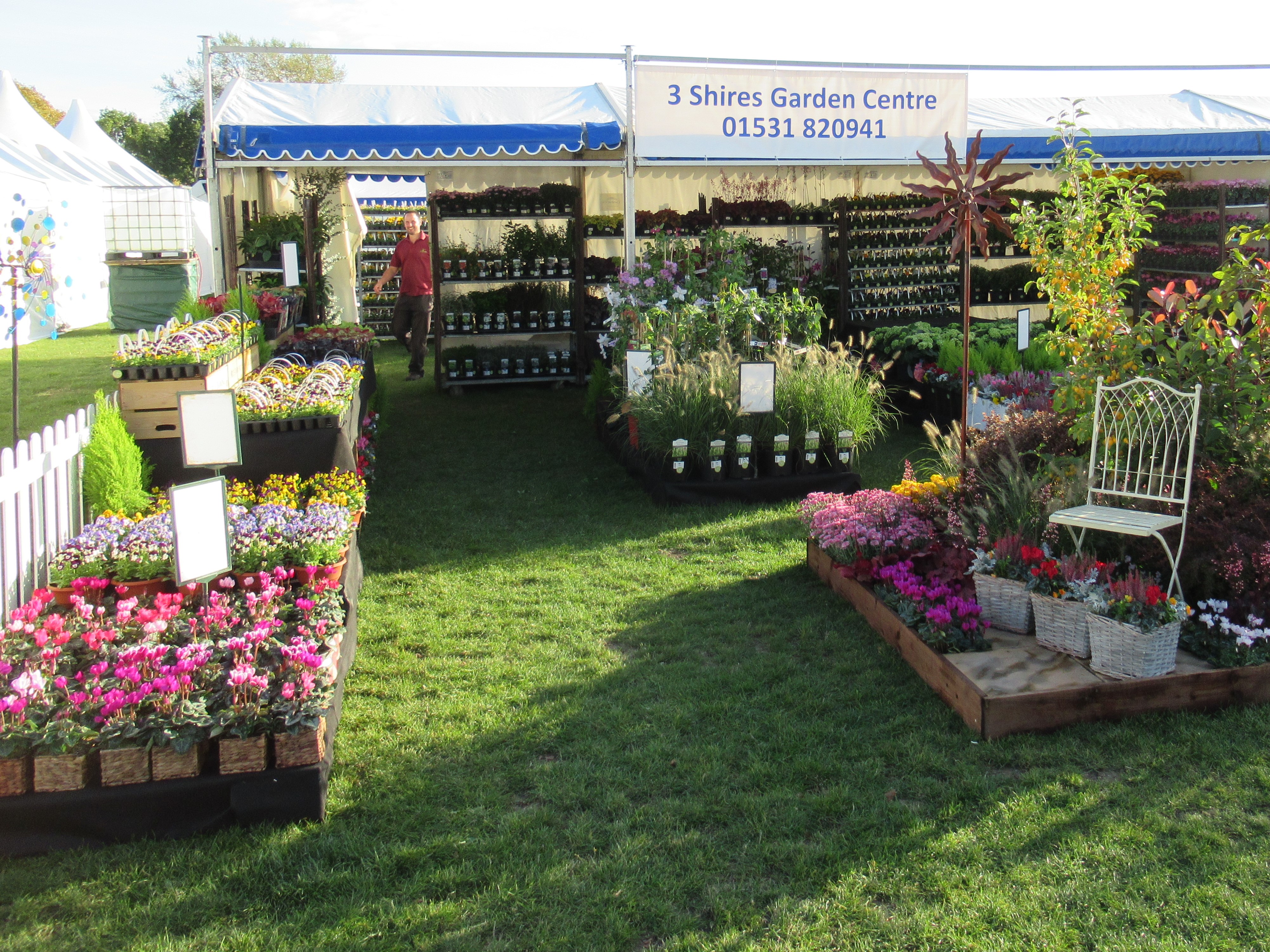 3 Shires win at Malvern Flower Show Blue Diamond
