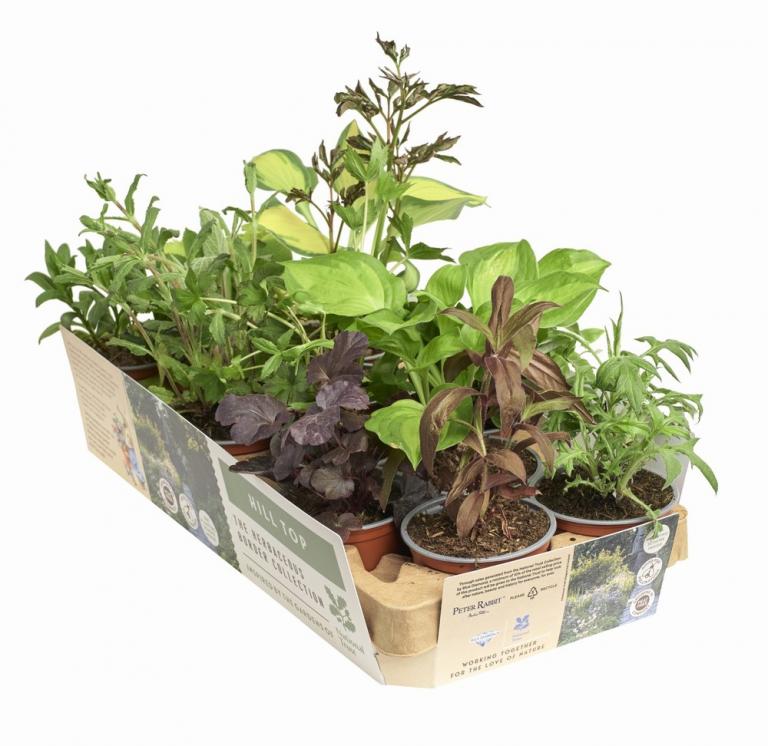 Hill Top Herbaceous Collection