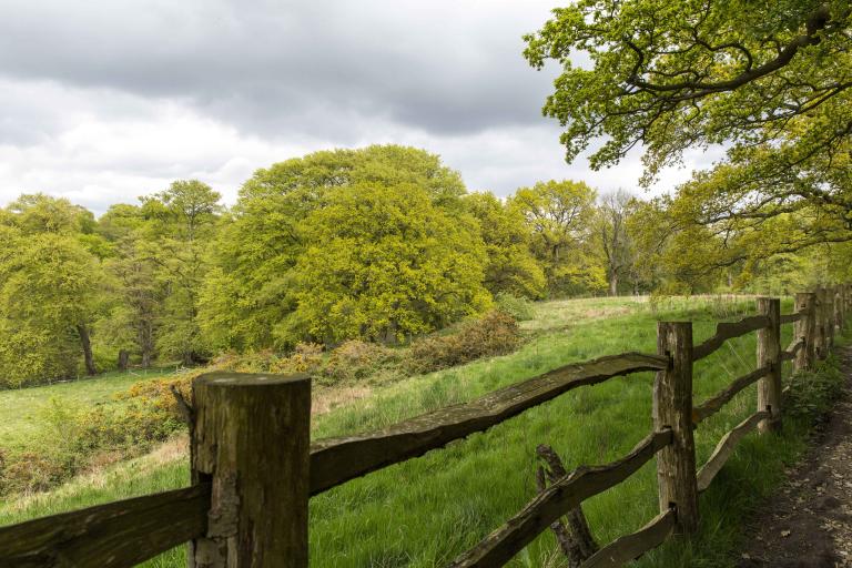 Kingfisher walk at Quarry Bank