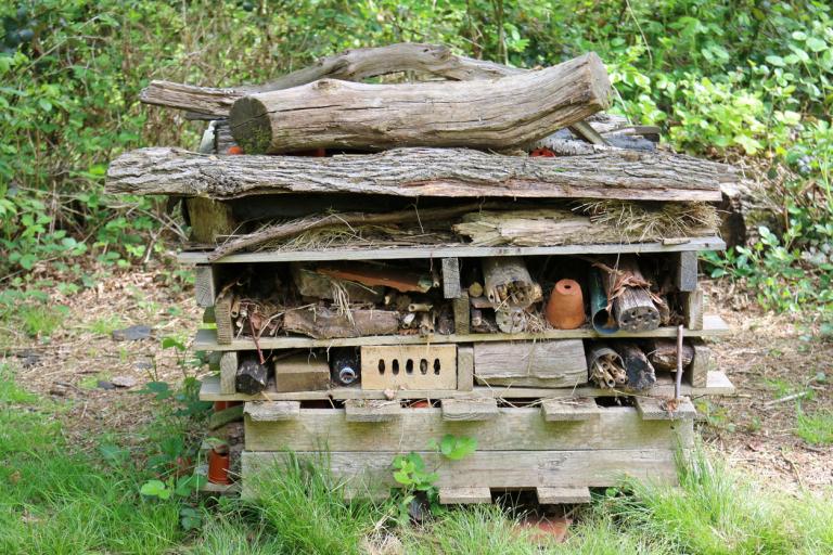 Create a bug hotel